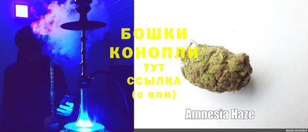 гашик Богородск
