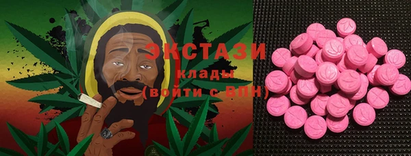 гашик Богородск