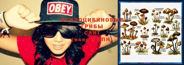 круглые Богданович